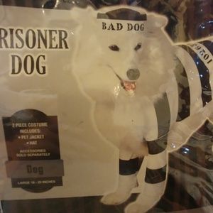 Dog costume